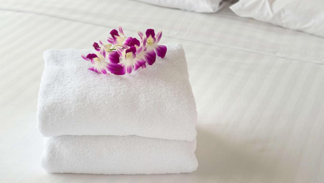 Magnuson Hotel Vow Palmerston Eksteriør billede